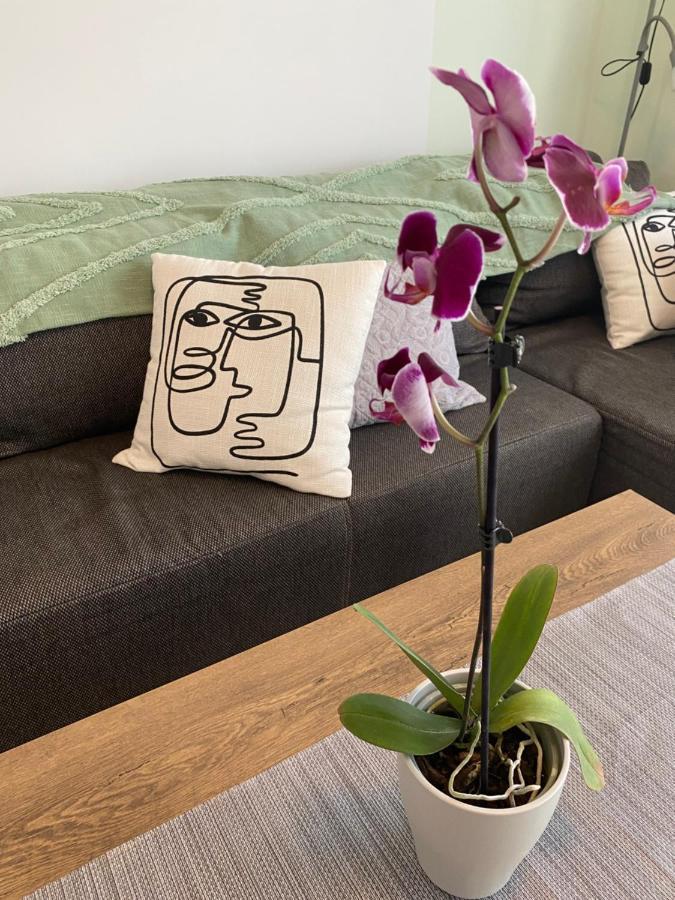 Apartment Katica *